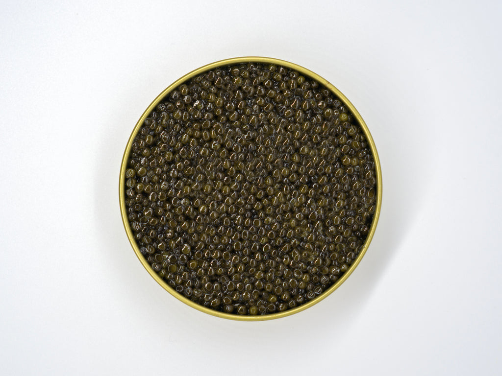 Kaluga Queen Premium Caviar